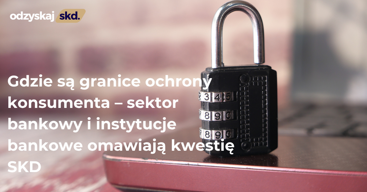 Gdzie są granice ochrony konsumenta – sektor bankowy i instytucje bankowe omawiają kwestię SKD